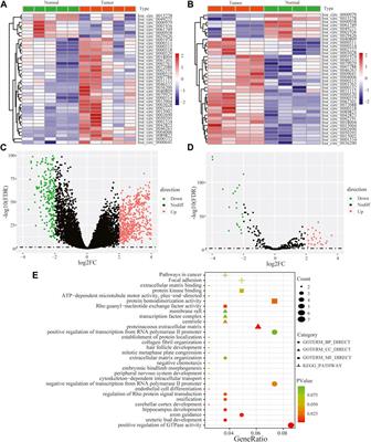 Novel circular RNA circ-0002727 regulates miR-144-3p/KIF14 pathway to promote lung adenocarcinoma progression